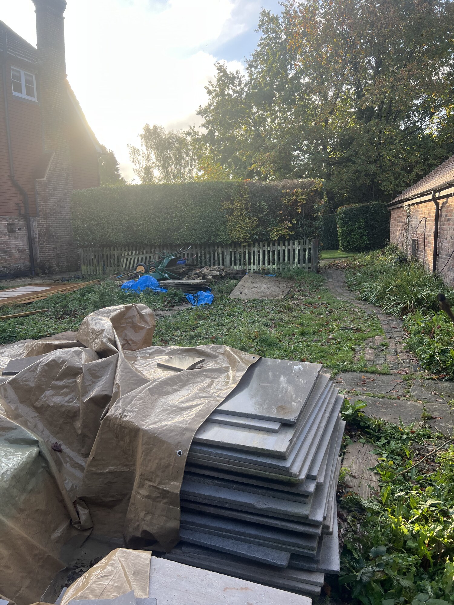 Original garden before redesign