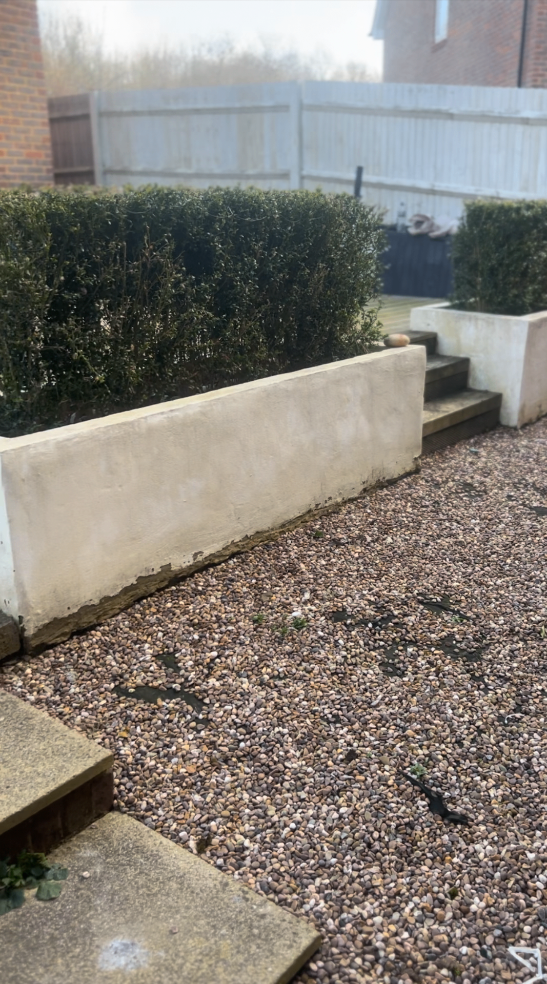 Original garden — clipped box hedging above a render planter with loose gravel and stepping stones