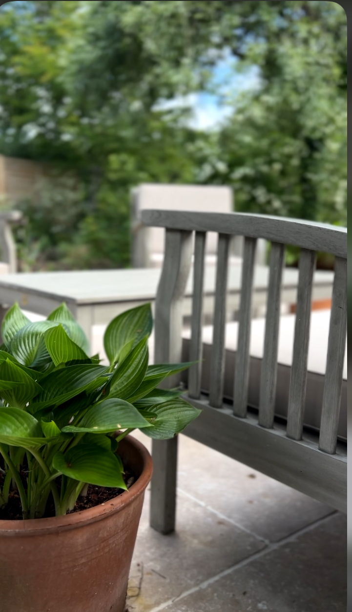 Hosta in a terracotta pot beside a soft grey teak bench on honed limestone paving