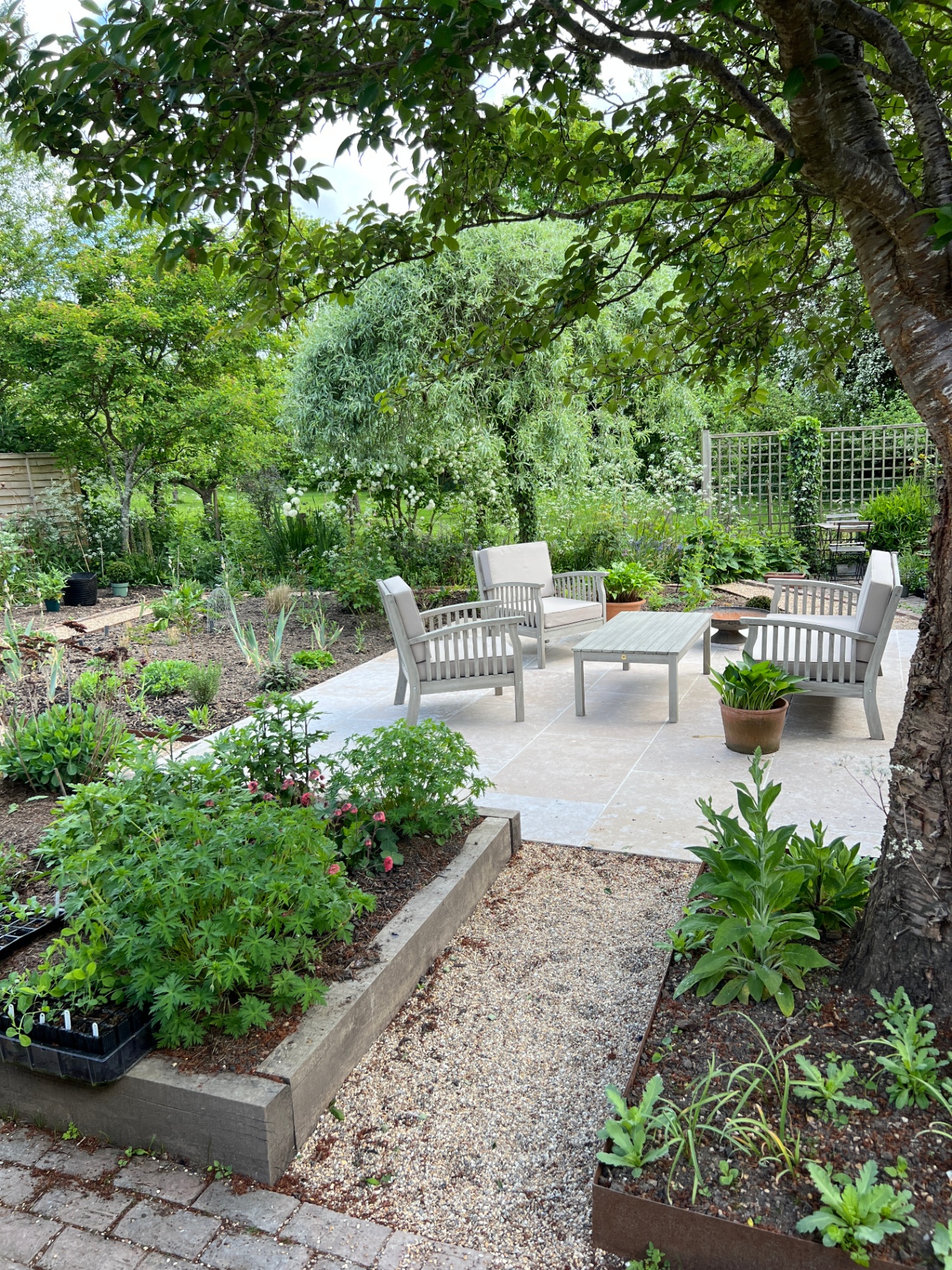 Stone patio seating area beneath a cherry tree with gravel paths and potager beds